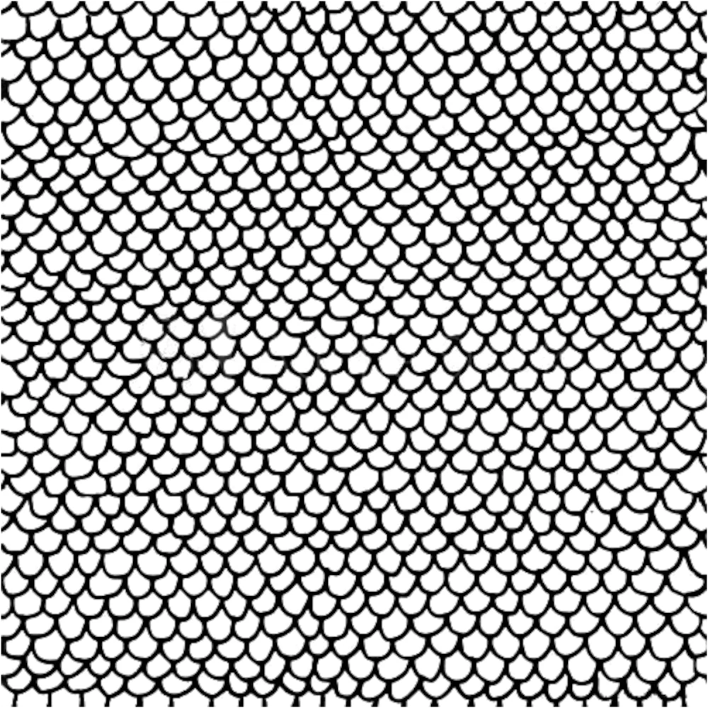 Fish Scale Texture